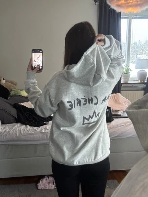 Hoodie med tryck - Säljer en hoodie som aldrig blivit använd, dvs att den är jättemjuk och skön. Finns inga lappar kvar dock❤️