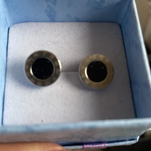 Örhängen  - Helt nya örhängen. 