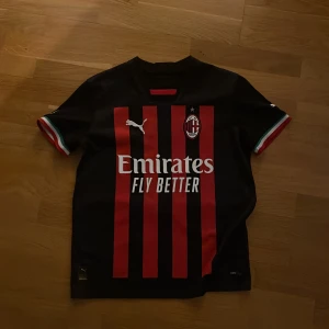 Milan rafael leao tröja från 22/23 - Jag säljer denna tröja pågrund av att jag har växt ur den, storlek xs, inga tecken på användning. Pris kan diskuteras