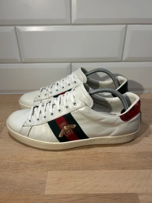 Gucci Ace  - Gucci Ace i mycket bra skick🤩| Storlek 43 kan passa 44 | Skriv vid frågor eller diskussion om pris✍🏼| Frakt inom 48h📦