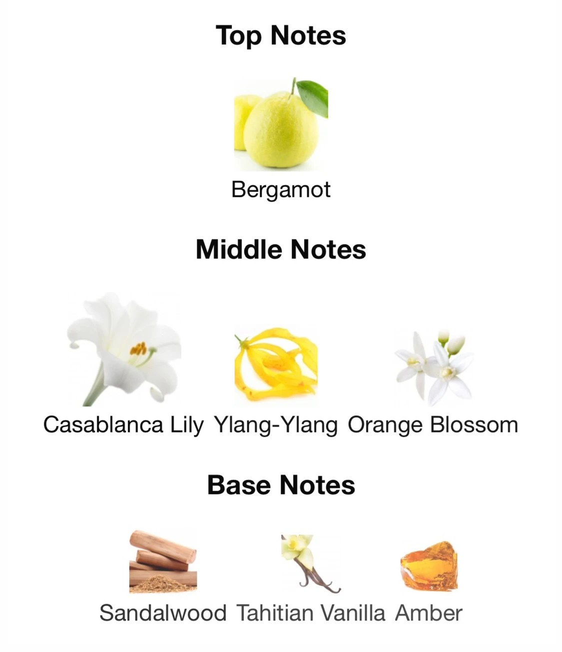 Gucci bamboo parfym - 2