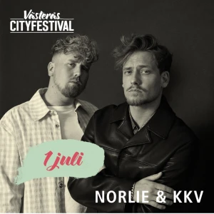 City festivalen  - Säljer lördags biljetten!❤️pris går o diskutera 
