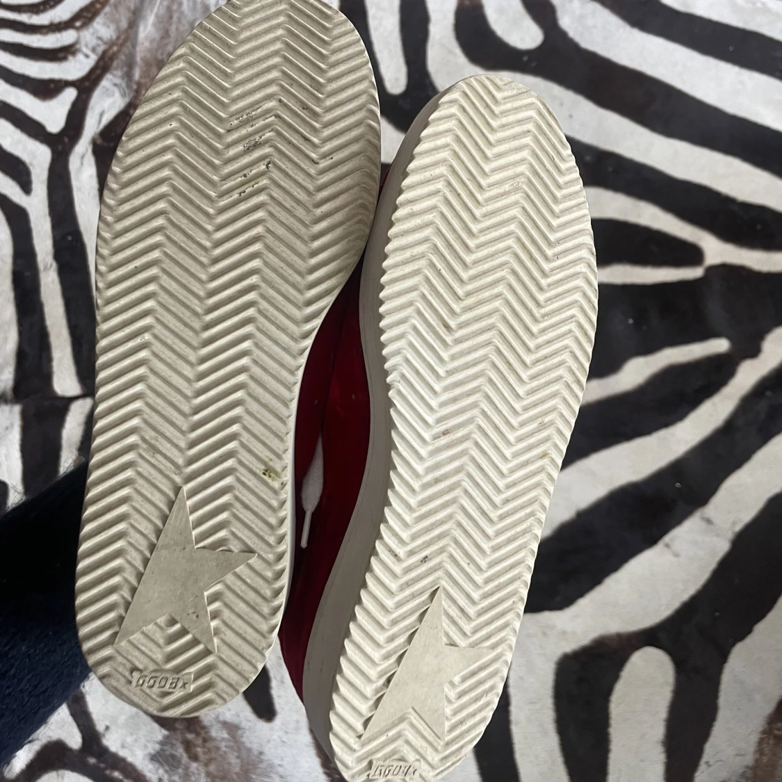 Golden goose starter  - 1