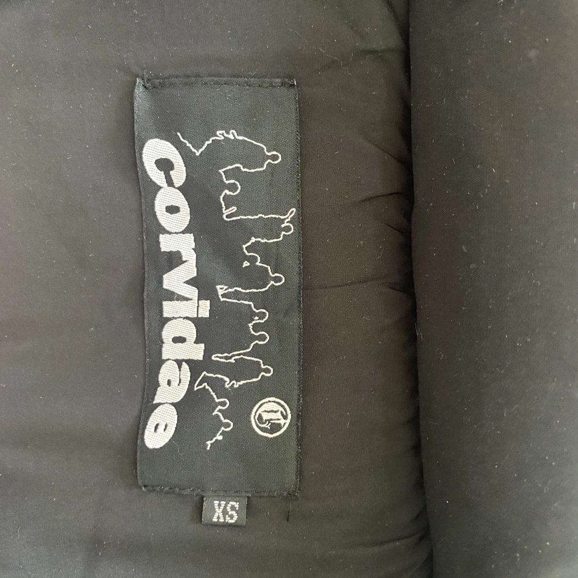 Corvidae jacka  - 90