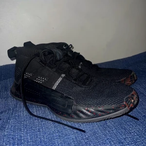 Dame 5 - Skor från damian lillard. Nypris 1500kr. Använda i något halvår från gång till gång inomhus. Inga slitningar.