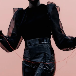 Topp från zara  - Topp från zara i storlek M. Den är gjord av sammet.