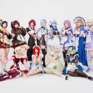 Söker uwowo maid cosplay! - Hej söker en uwowo maid cosplay spelar ingen roll vilken karaktär bara ett rimligt pris så dm om du har en