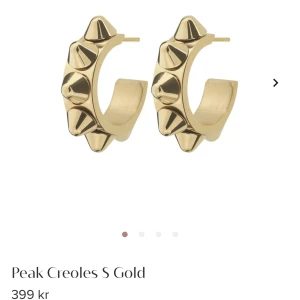 Edblad örhängen - Säljer mina fina edblad örhängen som inte kommer till användning längre. Väl använda men inget som syns💞köpt för 399kr❣️pris kan diskuteras💞