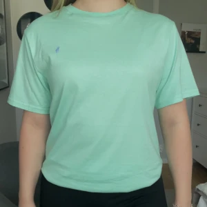 Ralph lauren t-shirt  - En ljusgrön Ralph Lauren t-shirt som inte kommer till användning längre. Storleken är XL barn men passar som en Small.  Tröjan är som nyskick! 