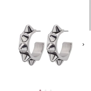 Edblad örhängen - Jätte populära örhängen från edblad, helt oanvända med lappen kvar, säljer för de inte kommer till användning💓