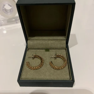 Guld örhängen  - Fina guldörhängen från Edblad💕