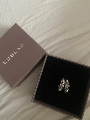 Edblad örhängen - Super fina örhängen från edblad🤩 knappt använda alls då jag använder guld!💕 originalpris 399kr. 