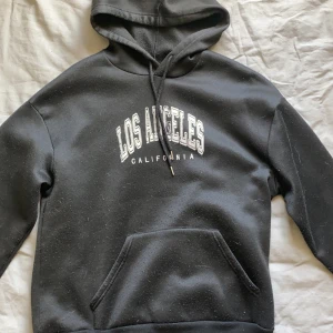 Hoddie - Från Shein! Får ingen användning för den💖