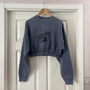 Säljer denna jättefina vintage sweatshirten från Urban Outfitters ”remake”. Stl S<3