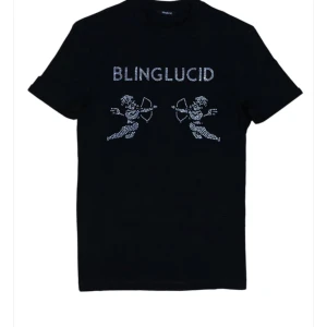 Blinglucid tshirt  - Skick:helt ny, använd en gång hemma, storlek:s, nypris:500, mitt pris:350, säljer för att den va för liten