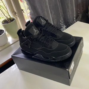 Jordan 4 black cats  - Helt nya Jordan 4 black cats, riktigt fräscha skor som passar med allt möjligt, äkta budget och det är svårt och få tag på dem 