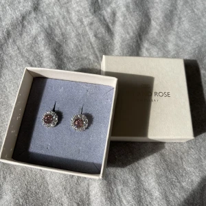 Örhängen  - Örhängen från Lily and Rose. Jättesöta men tyvärr aldrig använda. 