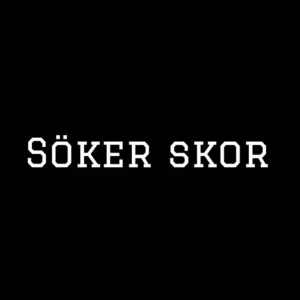 Söker skor - Söker jordans som kostar mindre än 800 storlek 41-44 bryr inte mig om det är fejk så länge den ser rikgig ut sms mig om ngn kan sälja