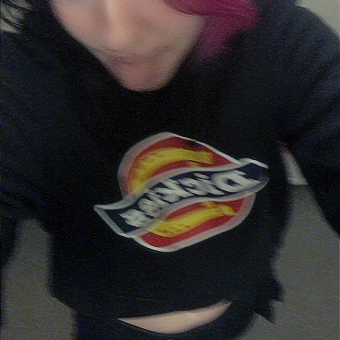 Dickies hoodie  - 91