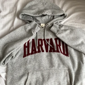 Harvard hoodie - Hoddie från hm. den är köpt på secondhand, så den är lite nopprig men inget som märks!