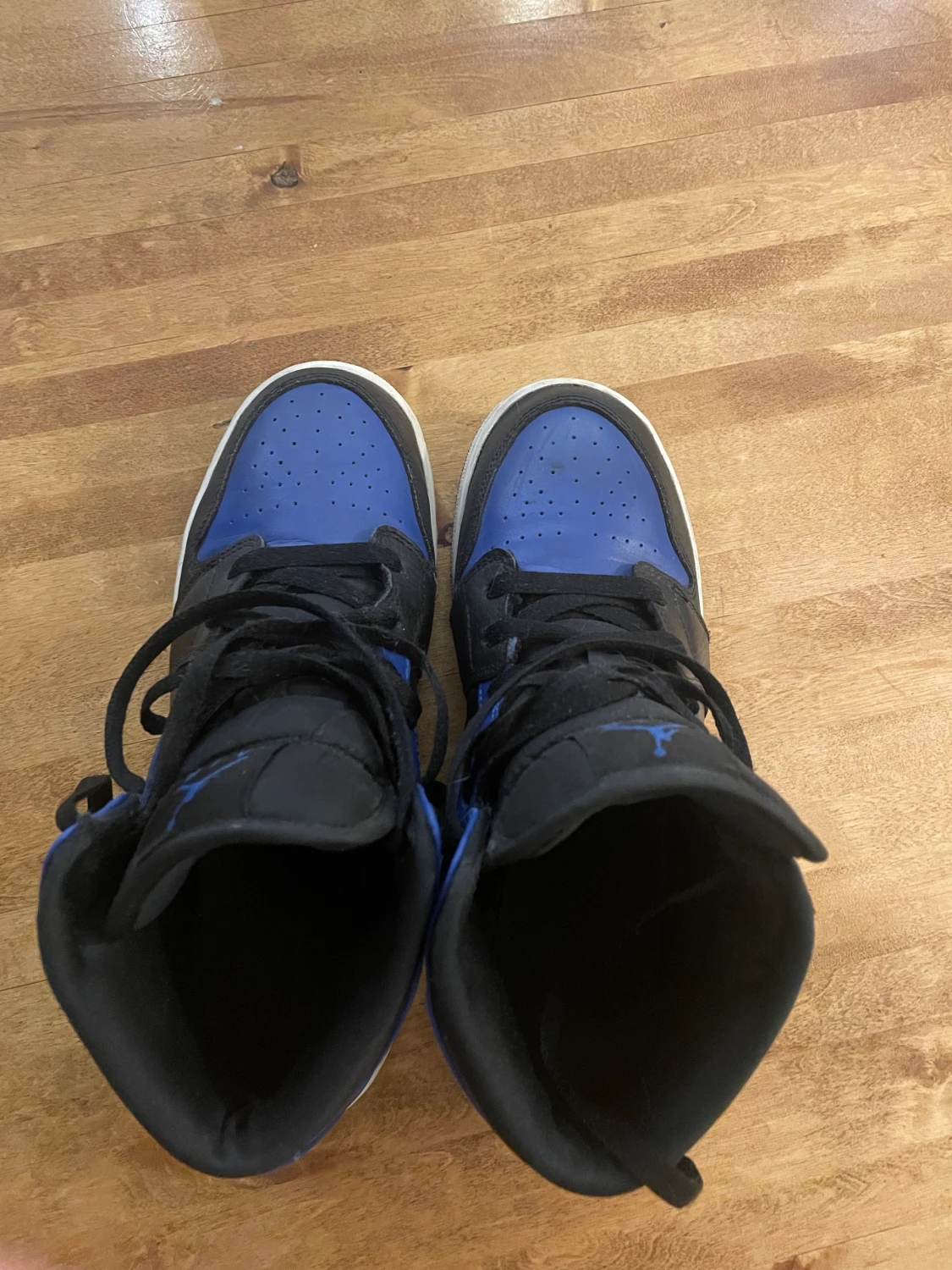 Nike Air Jordans BRA Skick