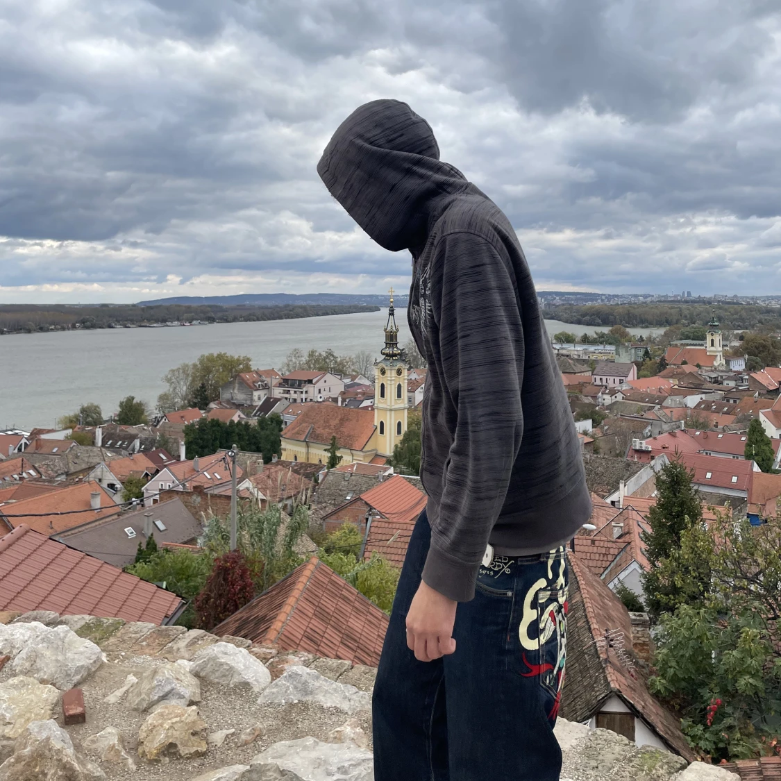 y2k affliction type hoodie 