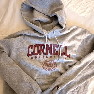 Vintage champion hoodie - Hoodie från champion i storlek M, använder inte längre (inga märkbara tecken på användning) 💓 Köpare står för frakt 