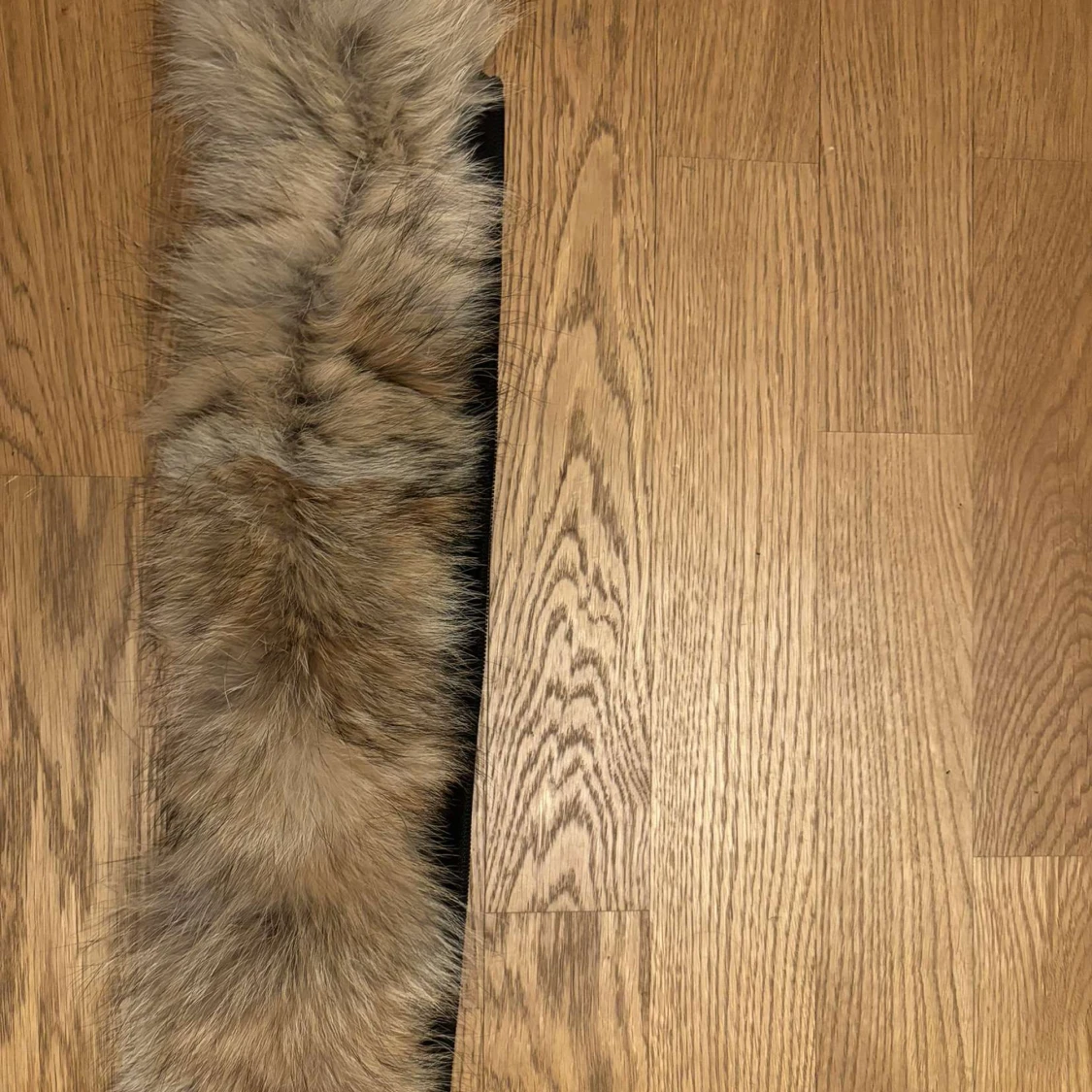 Canada goose wyndham Black label - 91