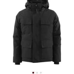 Canada goose black label - Heej säljer min jacka som jag köpte för ett år sen har använt den 14-15 gånger säljer på grund av att jag ej använder kvitto finns köpt i Nk