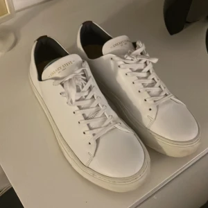 Sneaky Steve skor - Sneaky Steve skor som har kommit till användning ett få par gånger. Säljer dom då jag inte använder de. Nypris 1250. Mitt pris 500, köparen står för frakten