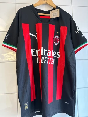 Milan  - Leão