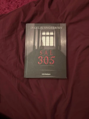 Sal 305 - Andra boken i Rum 213 serien