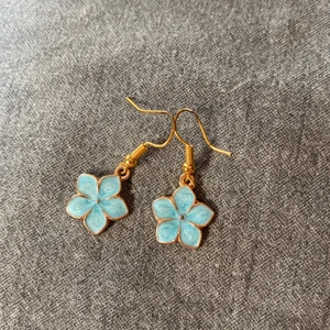 Örhängen  - Samma som i tidigare annonsen! 30kr + frakt!