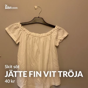 Fin  - KÖPARE STÅR FÖR FRAKT 