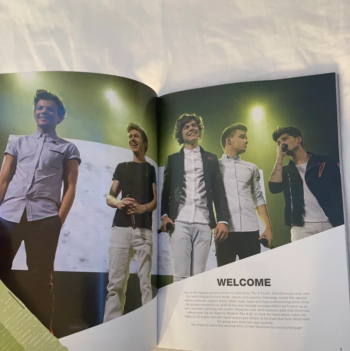 One Direction Fanbook ICONS - 90