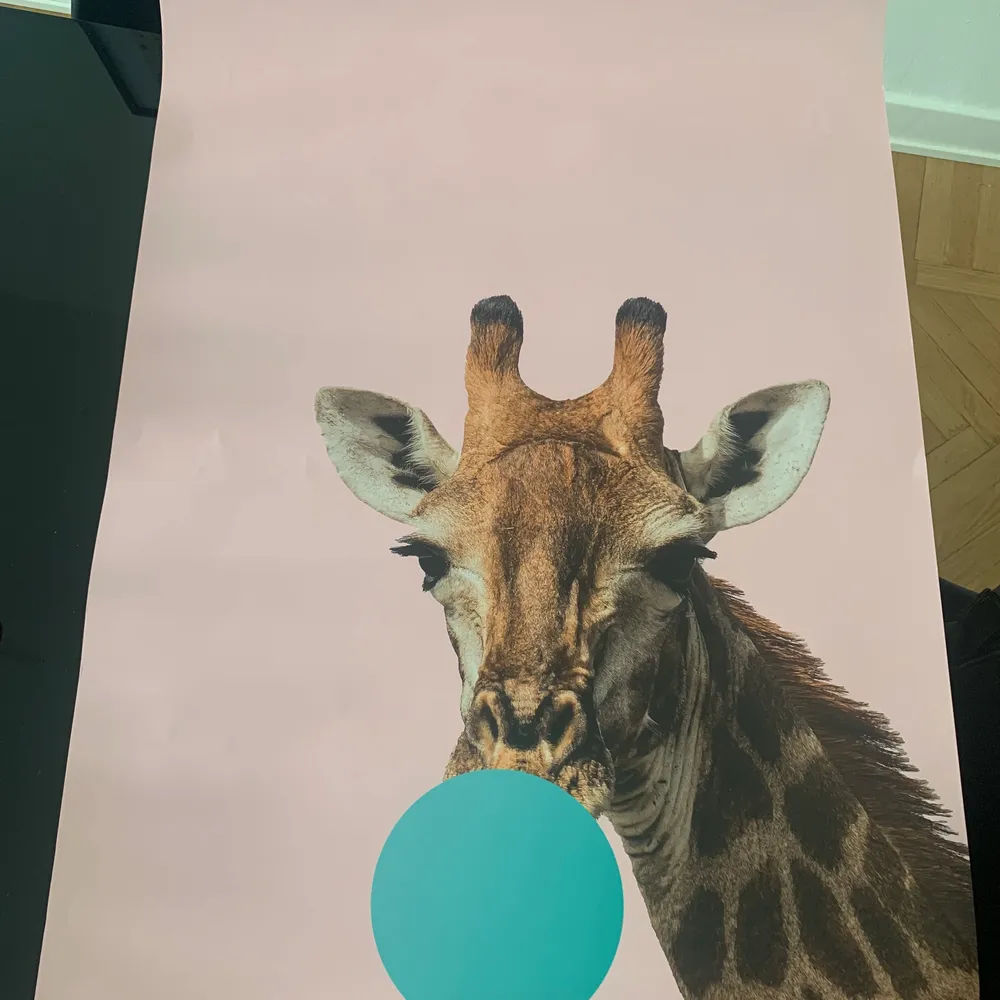 Olika posters/affischer. Säljer inte ramarna.  Poster ”giraff” 60x90. Nypris 268. Säljes oxå för 180 kr. . Övrigt.