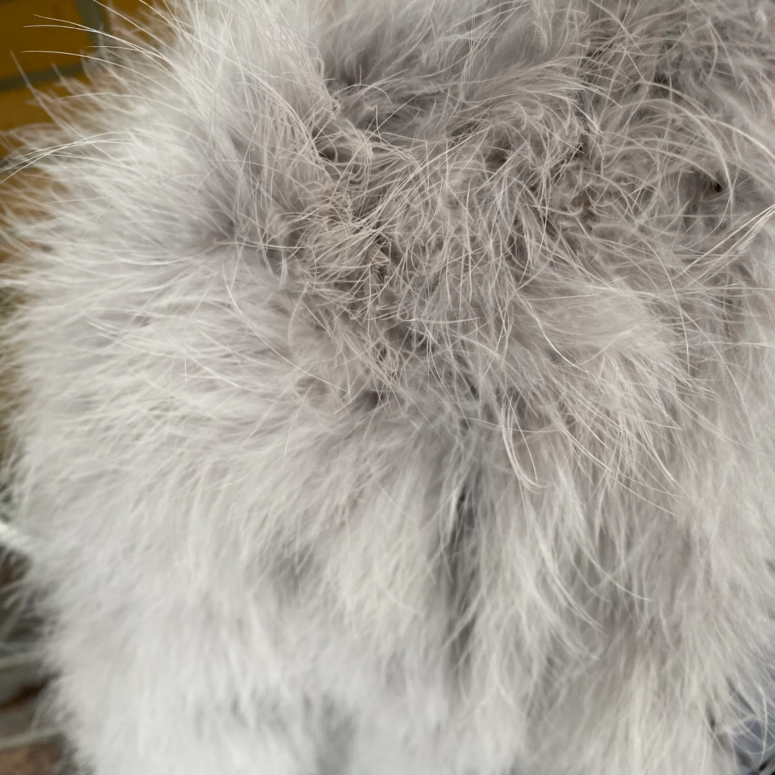 Ljusgrå Pellobello - 91