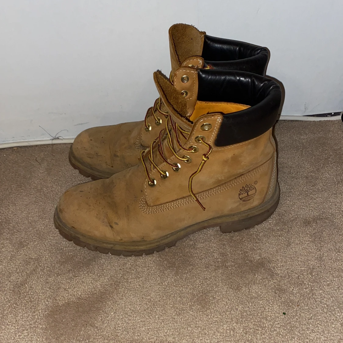 Timberlands 6 inch