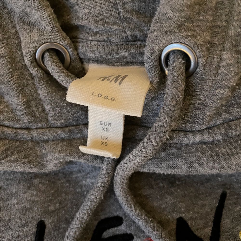 Fin hoodie , fint skick , billig pga frakt . Huvtröjor & Träningströjor.