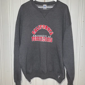 Vintage University of Pennsylvania Sweatshirt  - Den sitter Oversized 