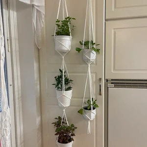 Plants hangs, amplar - Handknutna enkla amplar för blomkrukor, har flera olika färger, gör enkla(för en kruka)35kr, dubbel 70 kr, trippel 105kr, anpassar till olika krukornas diametrar 10-12,13-15,16-20cm. Kan användas även för burkar med vatten för propagation av sticklingar.