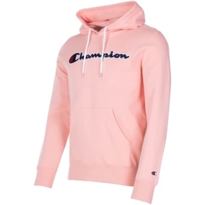 Champion hoodie  - Säljer för jag har liknande, storlek XS men ändå lite oversized, nypris 500kr 