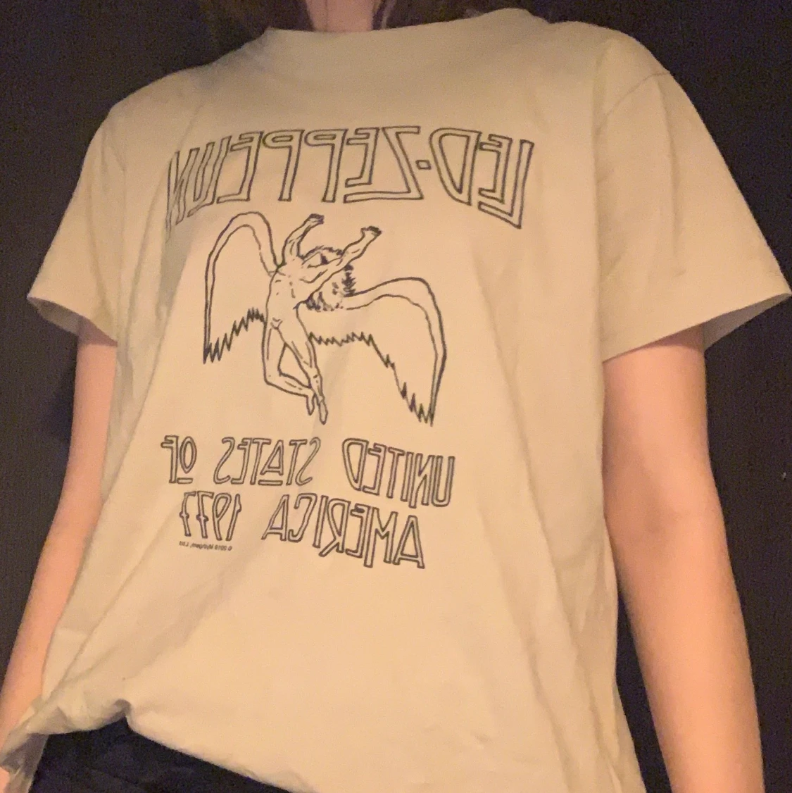 Led zeppelin band tröja!  - 90