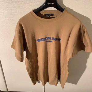 Beige college t-shirt - Supertung bra kvalite t-shirt från Wixhita Falls Texas. Superbra t-shirt och en riktig grail