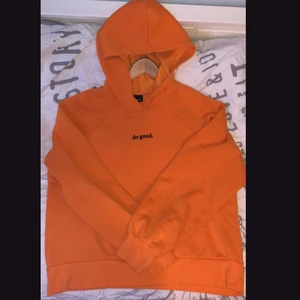 orange hoodie  - Orange hoodie från ginatricots vinter kollektion från 2020 i storlek L, gott skick används typ tre gånger. Insidan är som flis fast fluffigare och man blir lätt varm i den. Orginalpriset va 349kr men säljer den för 90 plus frakt som ligger på 66kr (spårbar). Bara att höra av sig om man har frågor🐿