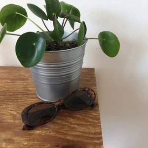 Ovala solglasögon  - Köpte dessa på plick, fodral skickas med!😊 frakt tillkommer. 