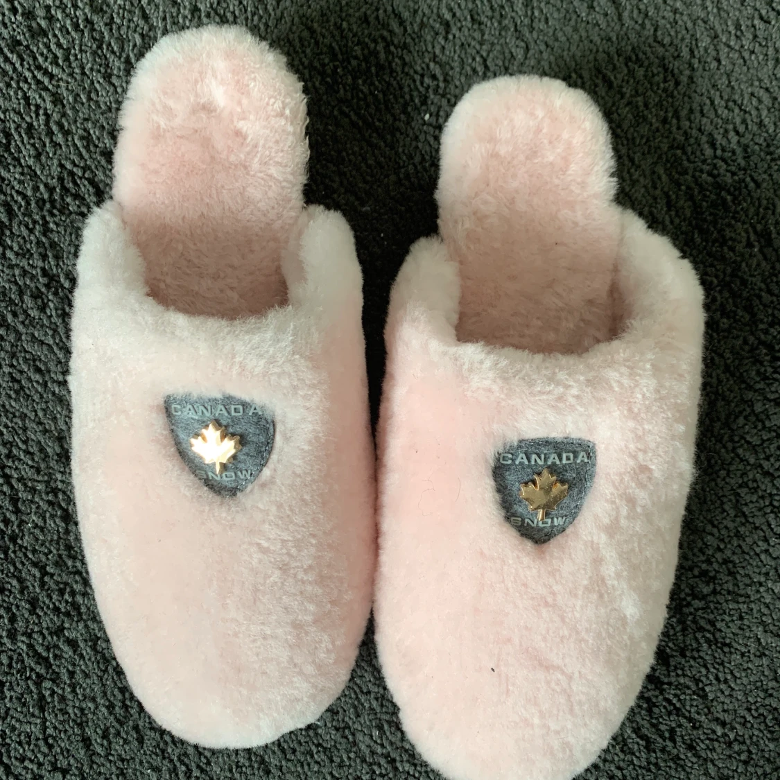 Canada Snow morgonskor