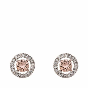 Lily and Rose örhängen miss Miranda  - Örhängen från Lily and Rose, bra skick💕 100 kr + frakt (14kr) 🧚‍♀️ (nypris är 329kr)