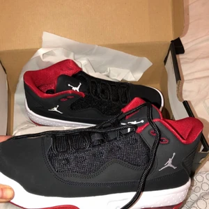 Jordan - Strl 36.5, använda 1 gång och är i mycket god skick