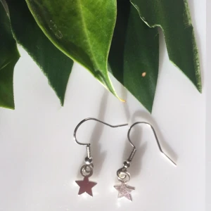 Stjärn-örhängen  - 15kr+ 12kr frakt